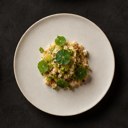 Plato vegetal creativo